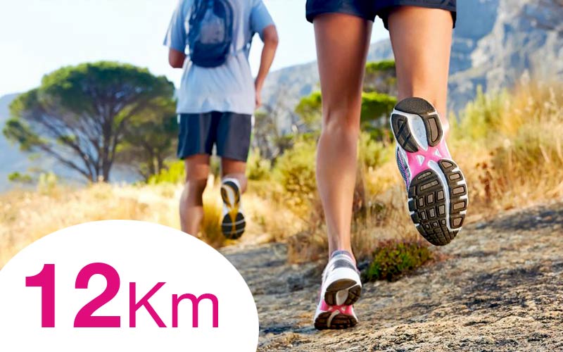 Trail Pleyben 2024 : le 27 octobre 2024 dans le Finistère (29). Etape du Challenge Armorik Trail : Courses 5km, 12km et 23km. Mais aussi : randonnée pédestre et courses pour les enfants Organisé par l'APEL de l'école St Joseph de Pleyben