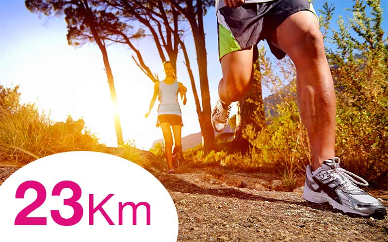 Trail Pleyben 2024 : le 27 octobre 2024 dans le Finistère (29). Etape du Challenge Armorik Trail : Courses 5km, 12km et 23km. Mais aussi : randonnée pédestre et courses pour les enfants Organisé par l'APEL de l'école St Joseph de Pleyben