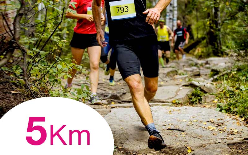 Trail Pleyben 2024 : le 27 octobre 2024 dans le Finistère (29). Etape du Challenge Armorik Trail : Courses 5km, 12km et 23km. Mais aussi : randonnée pédestre et courses pour les enfants Organisé par l'APEL de l'école St Joseph de Pleyben